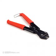 1月6日经全面体检确认其体